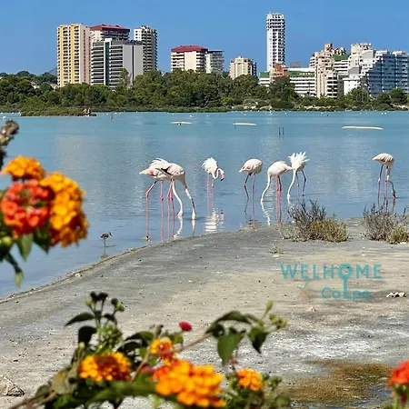 Orquídea Cómodo Apartamento: Vista Al Mar, Piscina, Parking Apartamento