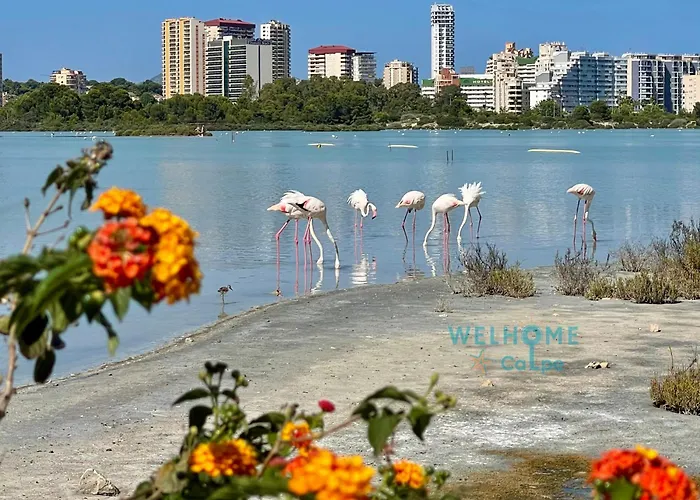 Orquidea Comodo Apartamento: Vista Al Mar, Piscina, Parking Апартаменты